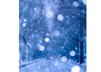 신축년 새해 첫 날 내리던 함박눈, 장순성