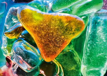 Apple, Shot on iPhone 접사 챌린지 수상작 발표